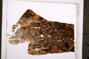 Plane Polarized, E22877