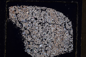 Cross Polarized, E22881