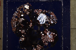 Cross Polarized, E22883