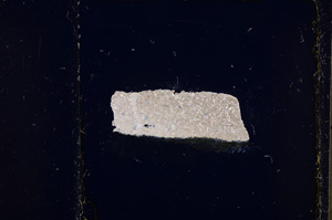Cross Polarized, E22891
