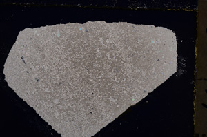 Cross Polarized, E22893