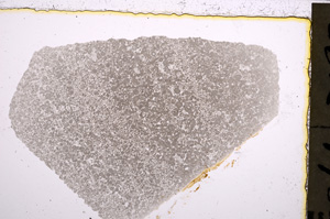 Plane Polarized, E22893