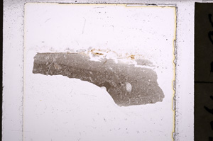 Plane Polarized, E22897