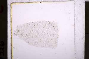 Plane Polarized, E22912