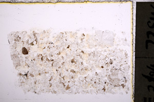 Plane Polarized, E22913