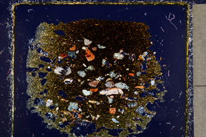 Cross Polarized, E22928