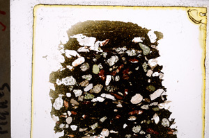 Plane Polarized, E22958