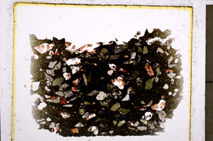 Plane Polarized, E22962