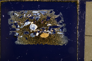 Cross Polarized, E22963