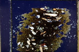 Cross Polarized, E22973