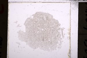 Plane Polarized, E22983