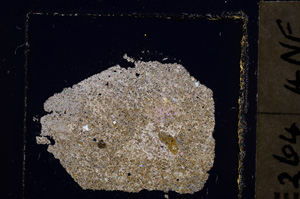 Cross Polarized, E22985