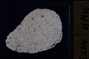 Cross Polarized, E22987