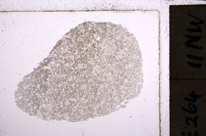 Plane Polarized, E22987