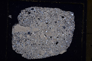 Cross Polarized, E22990