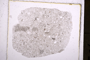 Plane Polarized, E22990