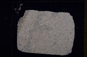 Cross Polarized, E23004