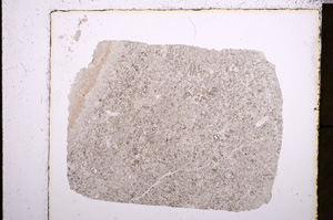 Plane Polarized, E23004