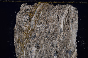 Cross Polarized, E23010