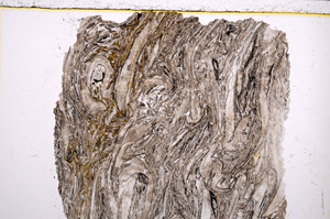 Plane Polarized, E23010