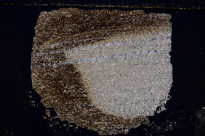 Cross Polarized, E23011