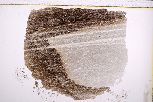 Plane Polarized, E23011