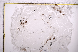 Plane Polarized, E23014