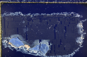 Cross Polarized, E23016