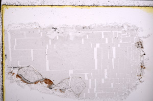 Plane Polarized, E23016