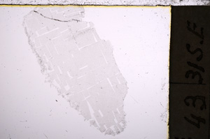 Plane Polarized, E23017