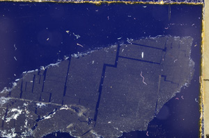 Cross Polarized, E23018