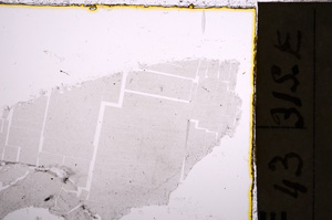 Plane Polarized, E23018