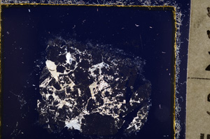 Cross Polarized, E23020