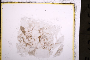 Plane Polarized, E23020