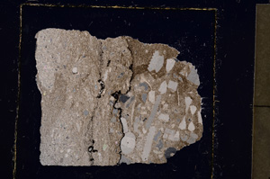 Cross Polarized, E23034