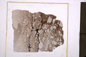 Plane Polarized, E23034