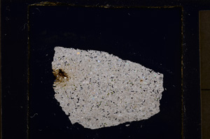 Cross Polarized, E23035