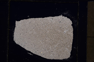 Cross Polarized, E23041