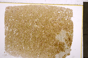 Plane Polarized, E23061