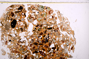 Plane Polarized, E23065