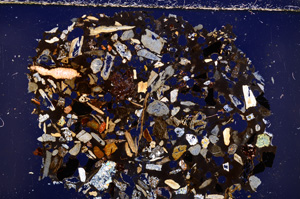 Cross Polarized, E23070