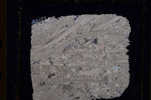 Cross Polarized, E23106