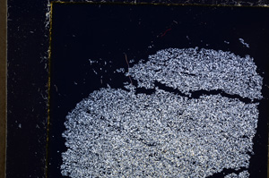 Cross Polarized, E23109