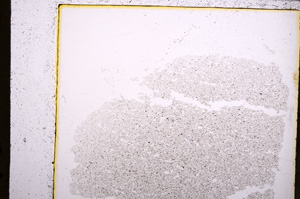 Plane Polarized, E23109