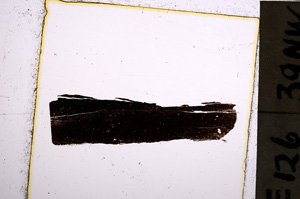 Plane Polarized, E23113