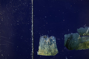 Cross Polarized, E23116
