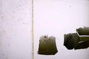 Plane Polarized, E23116