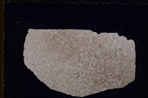 Cross Polarized, E23124