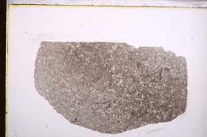 Plane Polarized, E23124