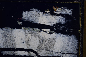 Cross Polarized, E23143